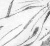serpentor3x2.jpg